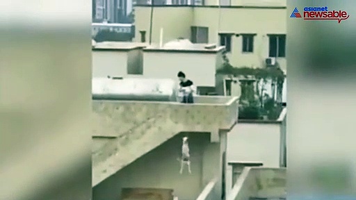 Man hangs dog to death for fun, laughs at woman who asks him to stop