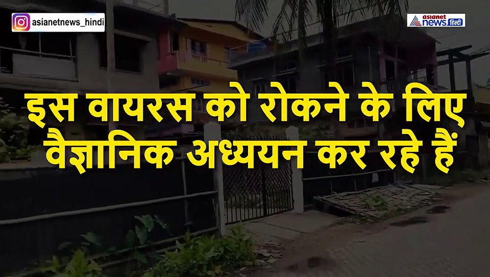 कोरोना वायरस को लेकर सब कुछ खराब नहीं है....ये हैं अच्छी बातें