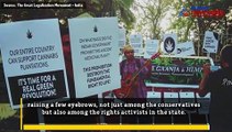 Kerala witnesses 'legalise ganja' protest, so should marijuana get the green light?
