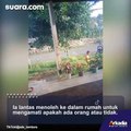 Pergoki Bocil Coba Curi Buah Mangga, Gegara Hal Ini Publik Malah Geli sampai Tahan Tawa