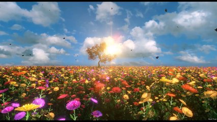 Wonderful Mother Nature