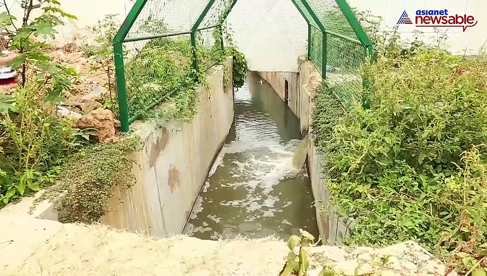 Newsable Impact: Day after highlighting Harlur lake issue, officials fix clogged drain that killed lakhs of fish