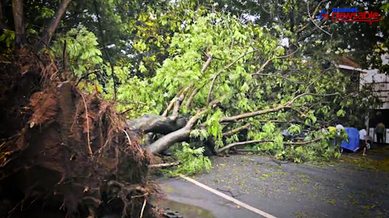 PubliCity: BBMP, BWSSB go underground; trees to fall flat, say experts