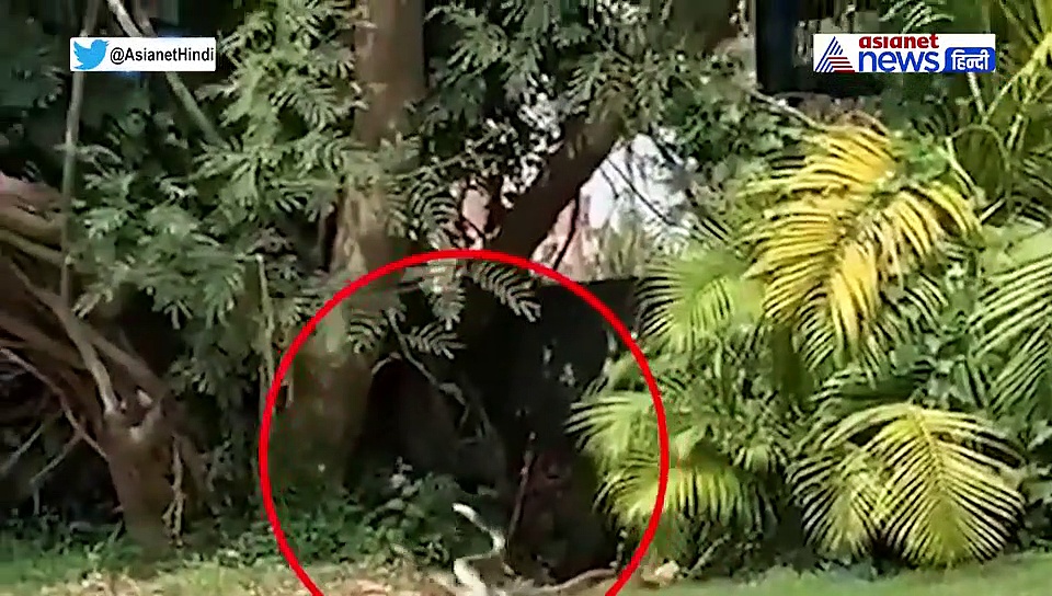 गोल्फ कोर्स के किनारे ही रोमांस करने लगा कपल, देखते ही लोगों ने निकाल लिया कैमेरा