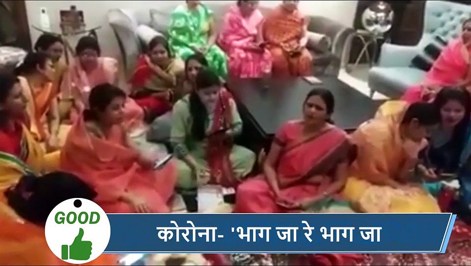 5 वायरल खबरें- साथी की खोज में 2000 Km पैदल चल चुका है टाइगर