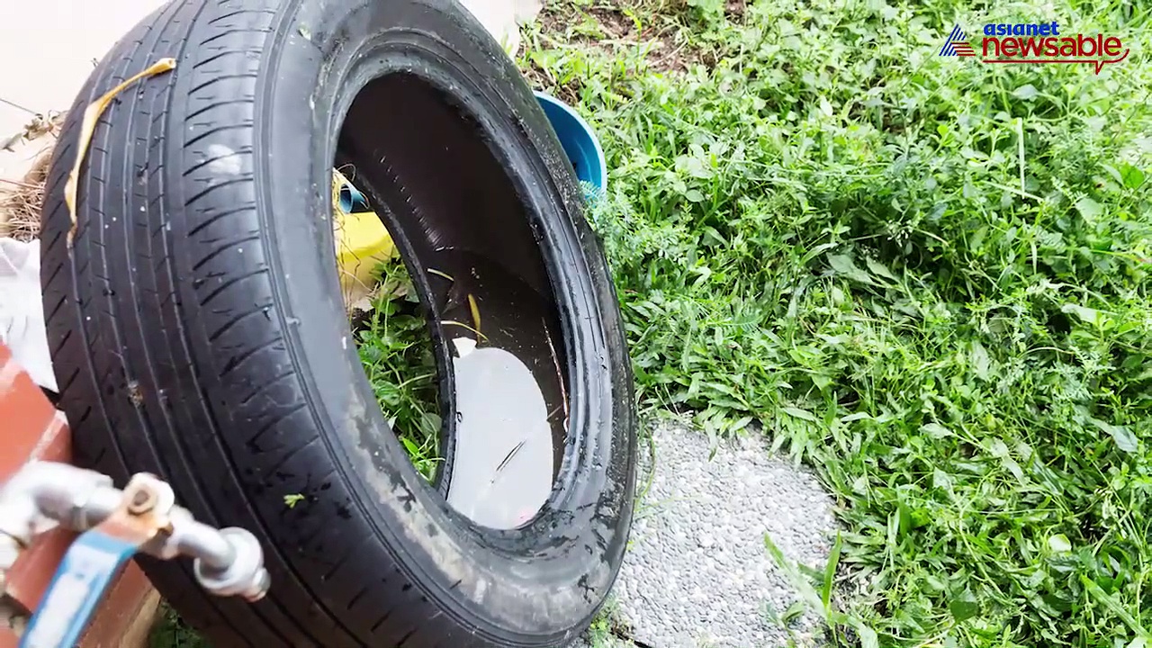 Mosquito menace: Bengaluru sees rise in mosquitoes; dengue cases increase