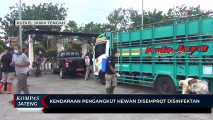 Kendaraan Pengangkut Hewan Disemprot Disinfektan