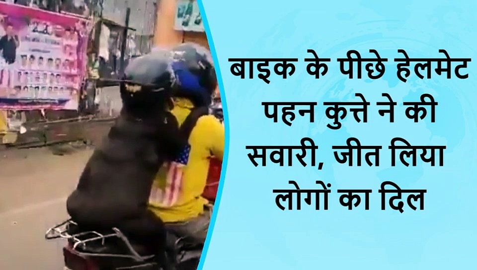 दिनभर की 5 वायरल खबरें