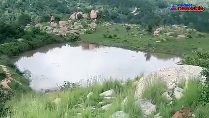 IT officers's kidnapped son found dead in a lake in Bengaluru