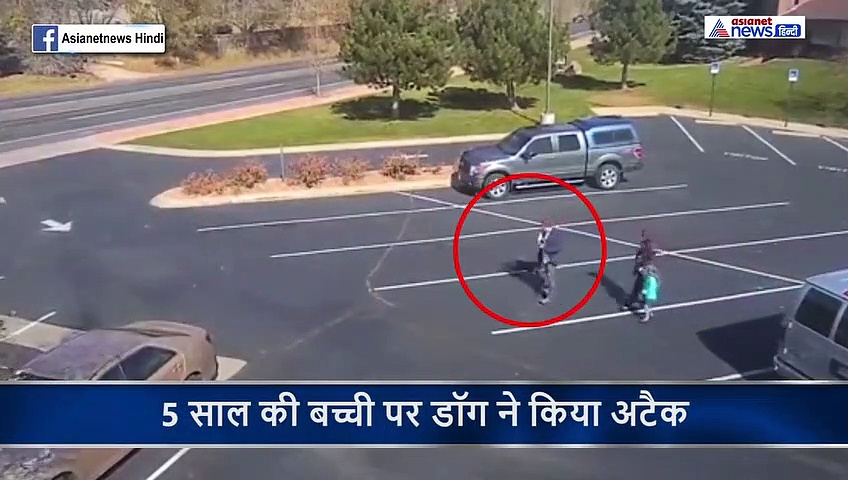 मां के साथ चल रही थी 5 साल की बच्ची, दौड़ते हुआ आया डॉग और फिर...