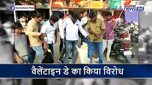 यहां वैलेंटाइन डे के विरोध में कराई डॉगीज की शादी, सोशल मीडिया पर वीडियो वायरल