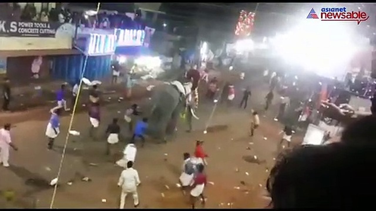 Kerala: Elephant runs amok in Kollam temple, people injured