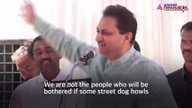 BJP leader Ananth Kumar Hegde compares Dalits to street dogs
