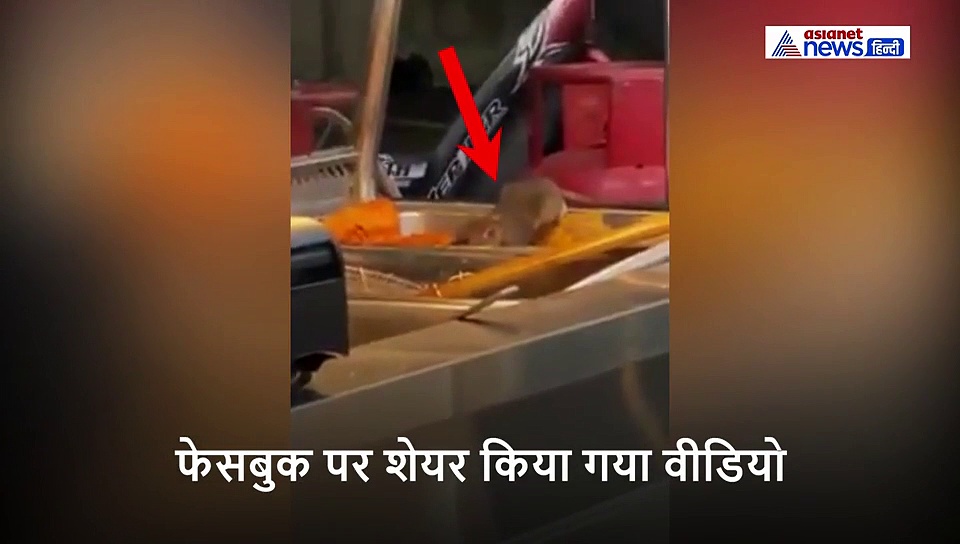 ठेले पर फ्राइड चिकन खाने रुके दोस्त, बर्तन में जो दिखा, तुरंत कैंसिल कर दिया ऑर्डर