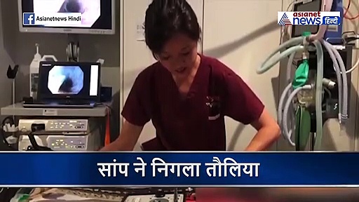 समंदर किनारे देखा तो लगा  प्रेग्नेंट  है सांप, ऑपरेशन थिएटर में सामने आई ये सच्चाई