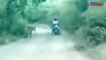 Bikers get trapped between two tigers. What happens next will blow your mind