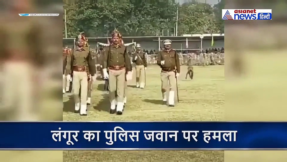 लंगूर ने पुलिसवाले को उछलकर मारी लात