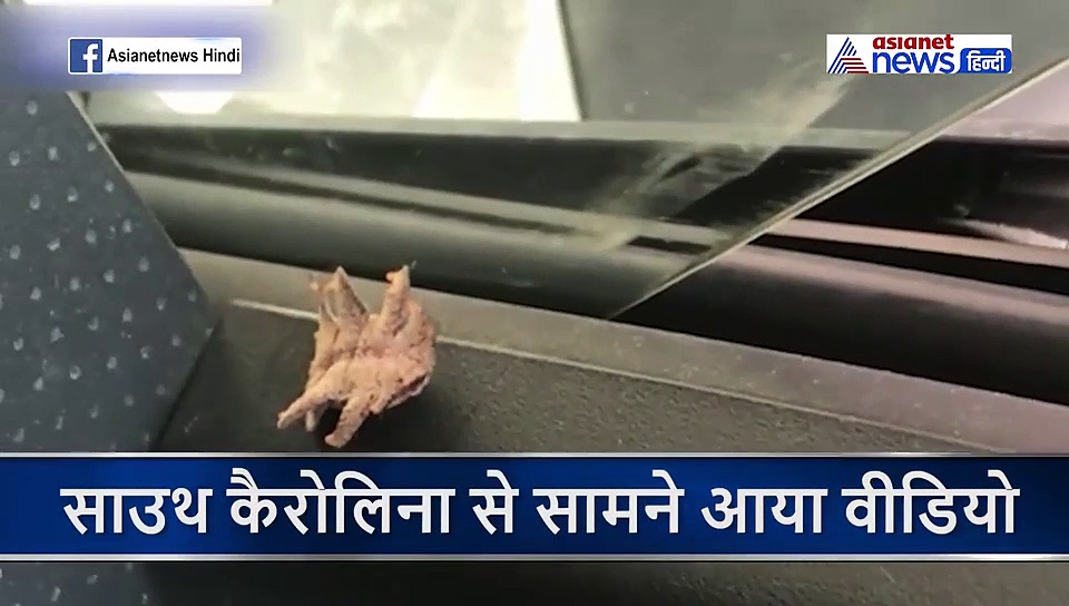 कार में 6 पैरों वाला 'एलियन' देख चीख पड़ा शख्स, फोन से फटाफट बनाया वीडियो और कूदा बाहर