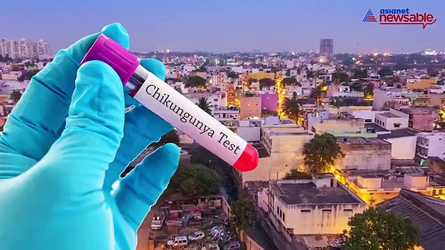 Bengaluru struck by chikungunya, swine flu and dengue