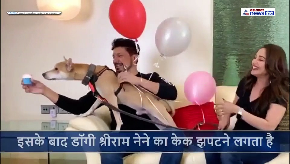 बड़े अरमानों से माधुरी दीक्षित पति के लिए लाईं केक, लेकिन टूट पड़ा डॉगी और किया ये हाल