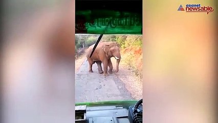 Has lord Ganesha taken an avatar to bless travellers?