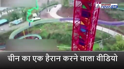 मौज मस्ती के लिए  'जानवर' बना इंसान,  बेजुबान को 68 मीटर ऊंचाई से फेंका