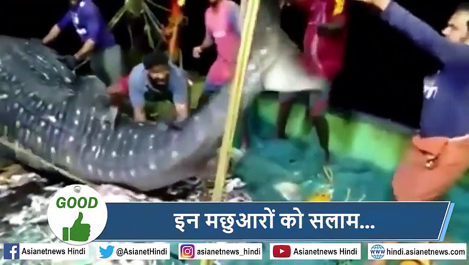 5 वायरल खबरें: दिव्यांग बच्ची ने लिया दौड़ में हिस्सा, लोगों के लिए बनी मिसाल