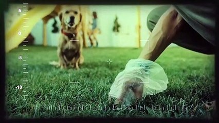 Pupsule_ World's Only 11-in-1 Solution To Clean Up Dog Poop