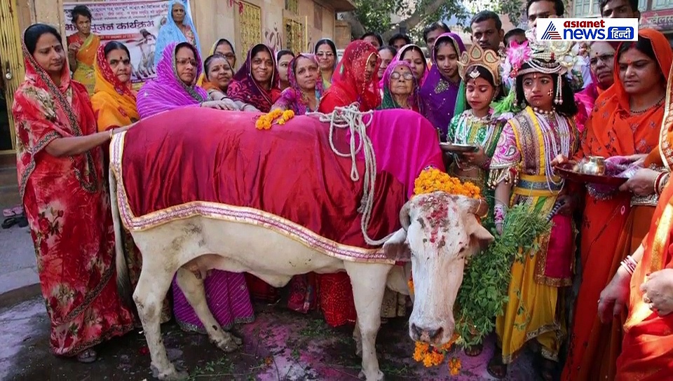 अगर समस्याओं से घिर हुए हैं तो गौमूत्र से करें ये उपाय