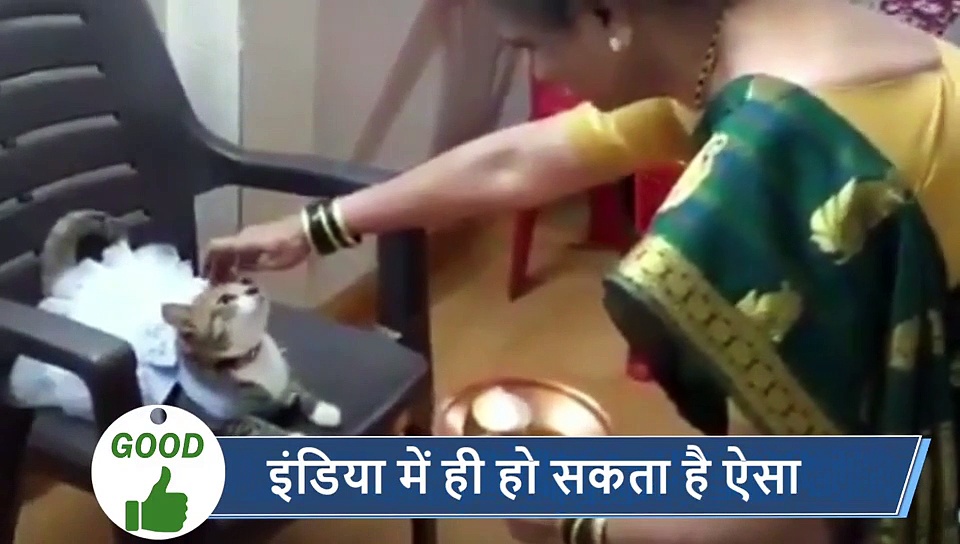 5 वायरल खबरें: टारगेट नहीं हुआ पूरा, तो बॉस ने दे डाली ऐसी सजा