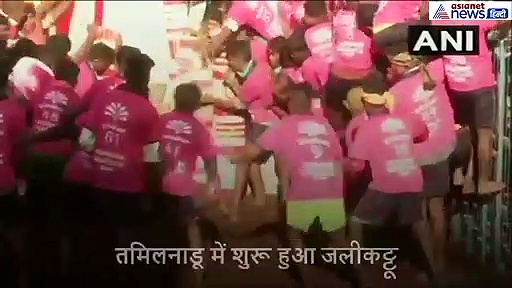 75 लोगों छोड़े पर जाएंगे 60 सांड, बेहद खतरनाक है इस बार का जलीकट्टू खेल