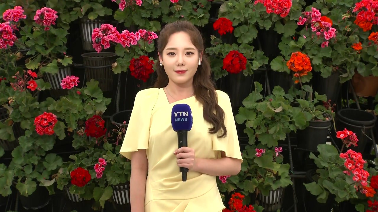 [날씨] 남부 여름 더위 '대구 31℃'...강원·충청 이남 소나기 / YTN
