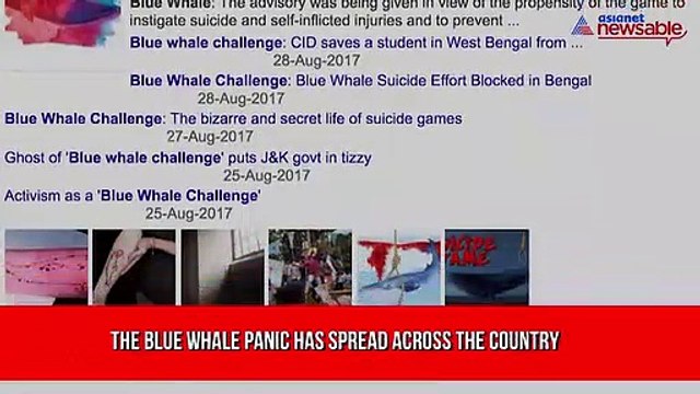 After Blue whale atrocities, Pink Whale challenge is spreading love