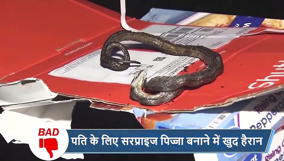 5 वायरल खबरें: अजगर का निवाला बनने ही वाला था कुत्ता, अचानक आ गए 'देवदूत'