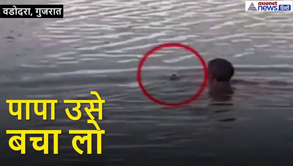 कटी पतंग की तरह फड़फड़ाते हुए तालाब में जा गिरा घायल कबूतर, उसे देख एक बच्ची चीखी, 'पापा उसे बचा लो'