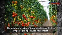 Andhra Pradesh: Farmers in tears as tomato prices plunge to 50 paise a kg