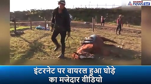 एक दिन में कई बार मरता है ये घोड़ा, जीभ निकालकर छटपटाते हुए आती है मौत