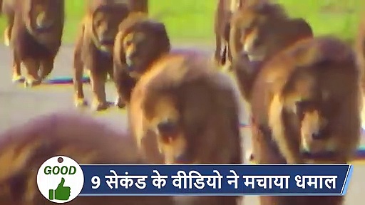 5 वायरल खबरें: सड़क पर मौत का खेल, तेज भागती कार से नीचे गिरा बच्चा