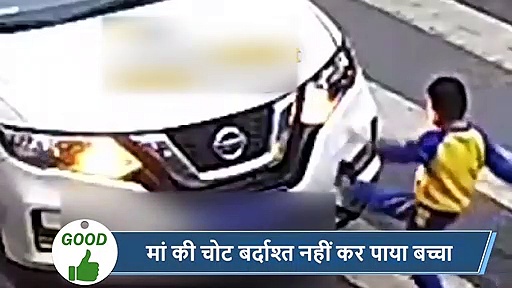 5 वायरल खबरें: भारत के इस इलाके में दिखा एनाकोंडा, सामने आया खौफनाक वीडियो