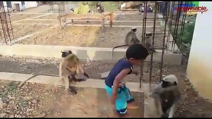 This one-and-a-half-year-old boy is friends with fearsome monkeys!