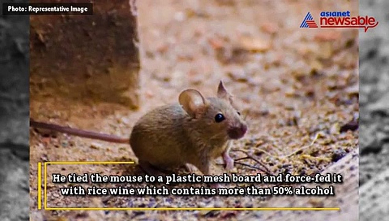 Man mercilessly sets a mouse on fire after force feeding it with alcohol