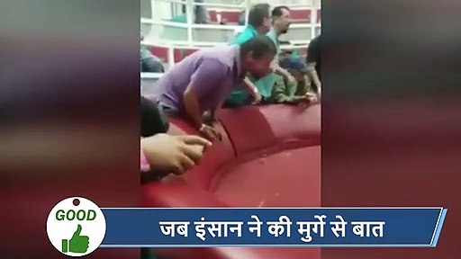 दिनभर की 5 वायरल खबरें