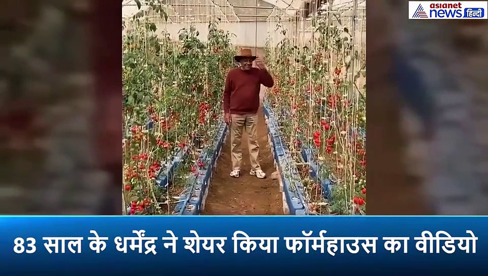 83 साल के धर्मेंद्र ने फॉर्महाउस पर उगे फल को बताया बेशकीमती, बोले किसान के हीरे जवाहरात हैं ये
