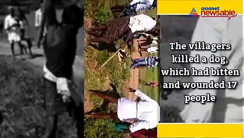 17 villagers were bitten and wounded by a dog in Karnataka