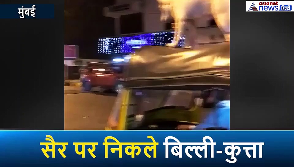 जानवरों को किसी से कम नहीं समझो, इन्हें भी आता है स्टंट करना