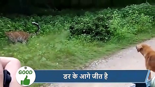 5 वायरल खबरें: मानवता को शर्मसार करने वाला वीडियो, दिव्यांग भिखारी को महिला ने पीटा