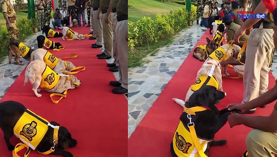 CISF से रिटायर हुए 7 कुत्ते, सेना के जवानों ने दी सलामी