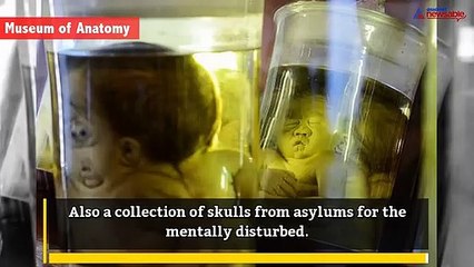 Watch: Five most horrifying and scariest museums around the world