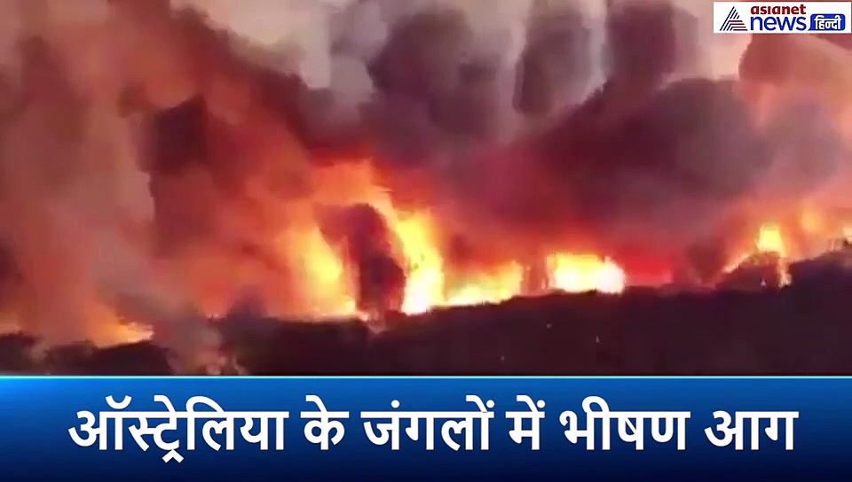 ऑस्ट्रेलिया के जंगलों की आग से 480 मिलियन पशुओं की मौत, 15 एकड़ जंगल बर्बाद