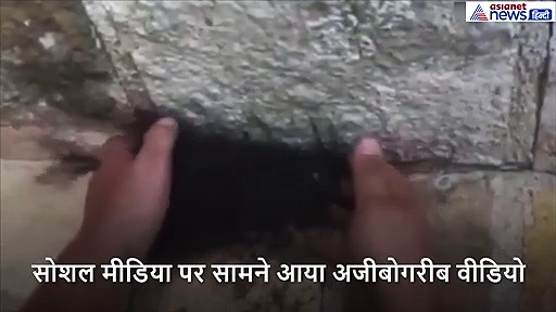 बाल के गुच्छे सी दिख रही चीज को शख्स ने उठाया, सामने आया डरवाना सच